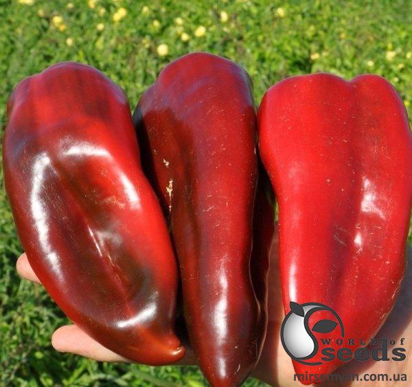 Перец Спарк F1 500 семян. (Lark Seeds) Перец Спарк F1 500 семян. (Lark Seeds)