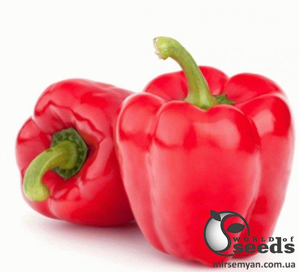 Перец Стрит F1 500 семян. (Lark Seeds) Перец Стрит F1 500 семян. (Lark Seeds)