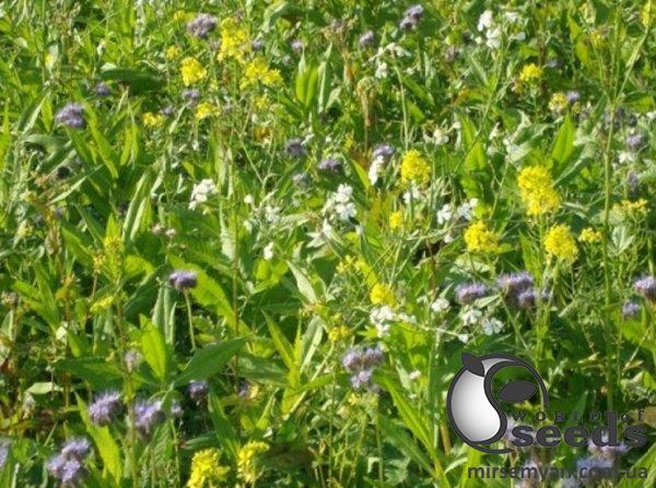 Смеси 10кг Смеси 10кг