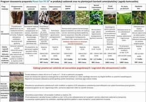 Huwa-San TR 50 Agro (Хува-Сан) 1кг
