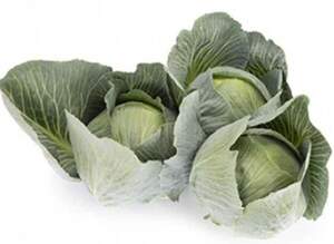 Капуста Владимира 1000 семян. (Rijk Zwaan) Капуста Владимира 1000 семян. (Rijk Zwaan)