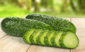 Огурец Бридж F1 1000 семян. (Rijk Zwaan) Огурец Бридж F1 1000 семян. (Rijk Zwaan)