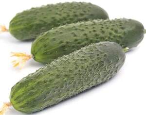 Огурец Илонара F1 250 семян. (Rijk Zwaan) Огурец Илонара F1 250 семян. (Rijk Zwaan)