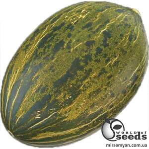 Дыня Алмаден F1 250 семян. (Enza Zaden)