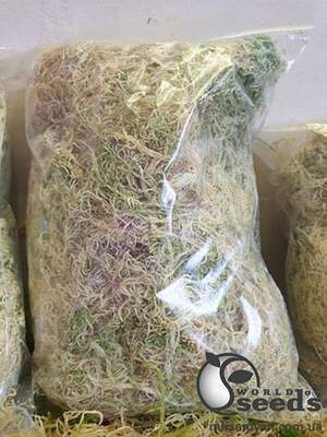 Мох Свагнум 1л Мох Свагнум 1л