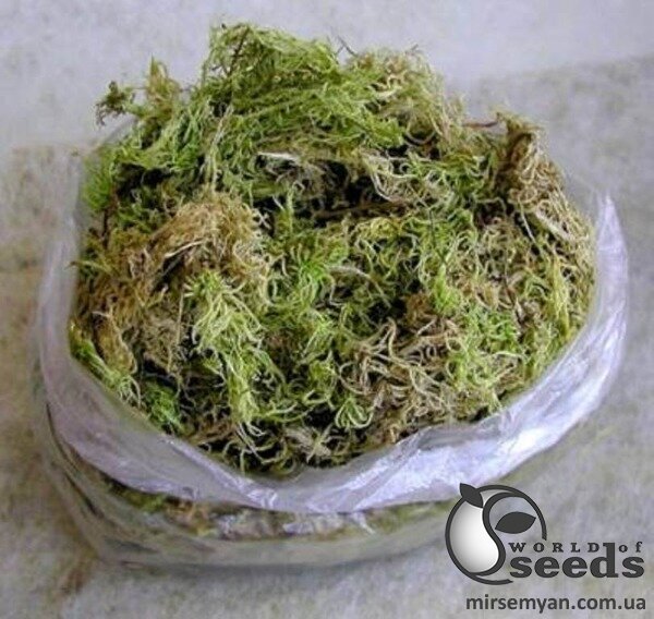 Мох Свагнум 1л Мох Свагнум 1л