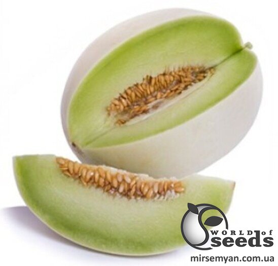 Дыня Санвисенте F1 100 семян. (Rijk Zwaan) Дыня Санвисенте F1 100 семян. (Rijk Zwaan)