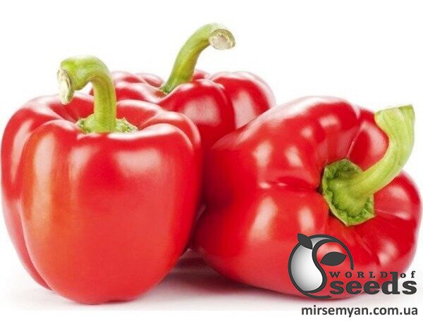 Перец Диагорас F1 1000 семян. (Hazera) Перец Диагорас F1 1000 семян. (Hazera)