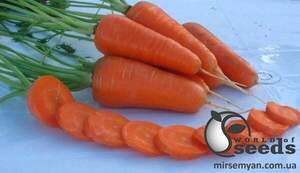 Семена моркови Шантане Ред Кор F1 250 г, Sakata