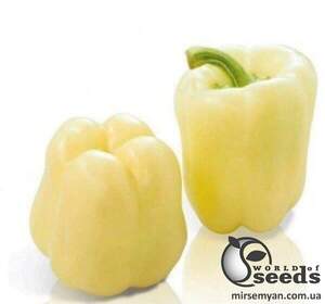 Перец Салана F1 500 семян. (Sakata) Перец Салана F1 500 семян. (Sakata)