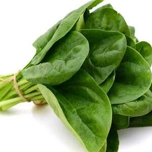 Шпинат Клиппер F1 50 000 семян. (Sakata) Шпинат Клиппер F1 50 000 семян. (Sakata)