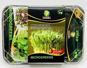 Микрозелень НАБОР Злаковый (пшеница, просо, лен)