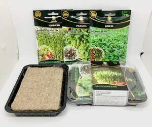 Микрозелень НАБОР Злаковый (пшеница, просо, лен) Микрозелень НАБОР Злаковый (пшеница, просо, лен)