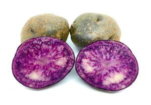 Семенной сорт картофеля "Аметист" 1кг