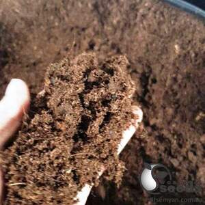 Торф Klasmann / Класманн TS-1 210л.