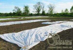 Агроволокно 19 г/m² шир.3,2м*10м Агроволокно 19 г/m² шир.3,2м*10м