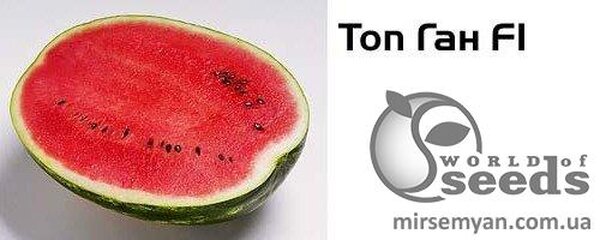 Кавун Топган F1 1000 с. Syngenta, (Сингента) Кавун Топган F1 1000 с. Syngenta, (Сингента)