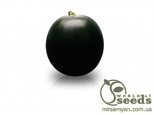 Кавун "Баронеса" F1 1000 с. Рік Цван, (Rijk Zwaan) Кавун "Баронеса" F1 1000 с. Рік Цван, (Rijk Zwaan)