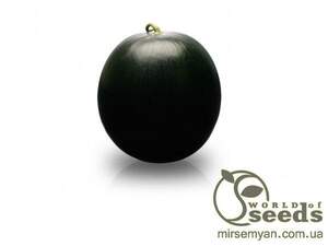 Кавун "Баронеса" F1 1000 с. Рік Цван, (Rijk Zwaan)