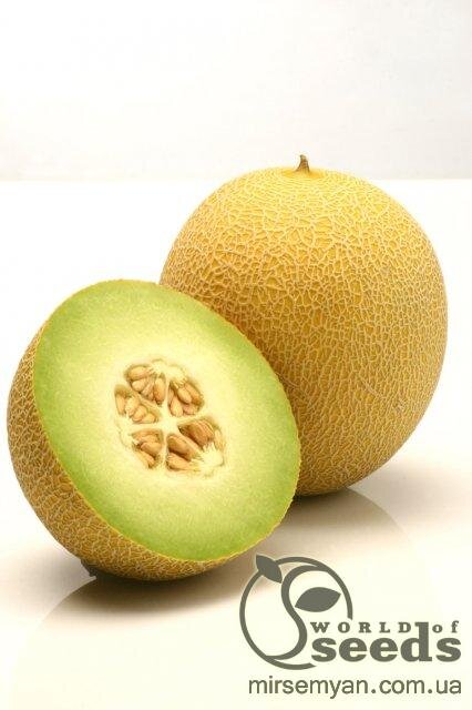 Диня ранньостигла "Джукар" F1 1000c. Рік Цван, (Rijk Zwaan) Диня ранньостигла "Джукар" F1 1000c. Рік Цван, (Rijk Zwaan)