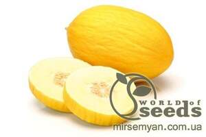Диня середньостигла "Дукрал" F1 100 c. Рік Цван, (Rijk Zwaan)