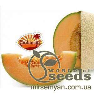 Диня середньо-пізня "Карібіан Голд" F1 100c. Рік Цван, (Rijk Zwaan)
