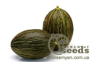 Диня середньо-пізня "Рікура" F1 100 с. Рік Цван, (Rijk Zwaan)