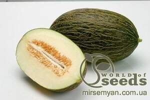 Диня середньо-пізня "Рейміл" 100 с. Рік Цван, (Rijk Zwaan)