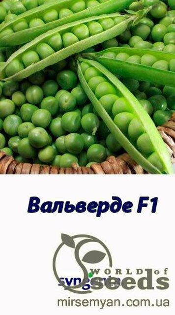 Горох овочевий Вальверде 100000 нас. (Syngenta) Горох овочевий Вальверде 100000 нас. (Syngenta)