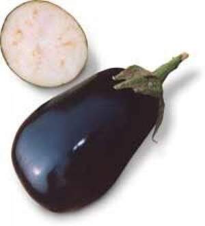 Баклажан Тирренія F1 , 1000  нас. (Nunhems)