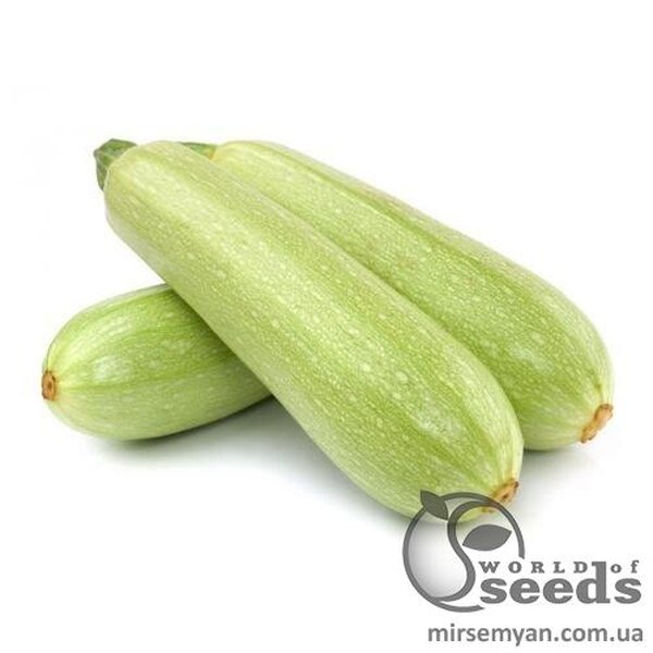 Кабачок Кабачок