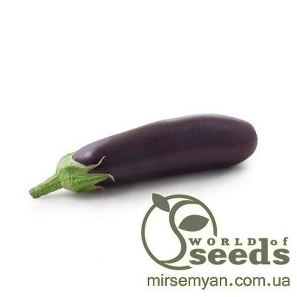 Баклажан середній Анатолія F1, 1000 нас. (Rijk Zwaan) Баклажан середній Анатолія F1, 1000 нас. (Rijk Zwaan)