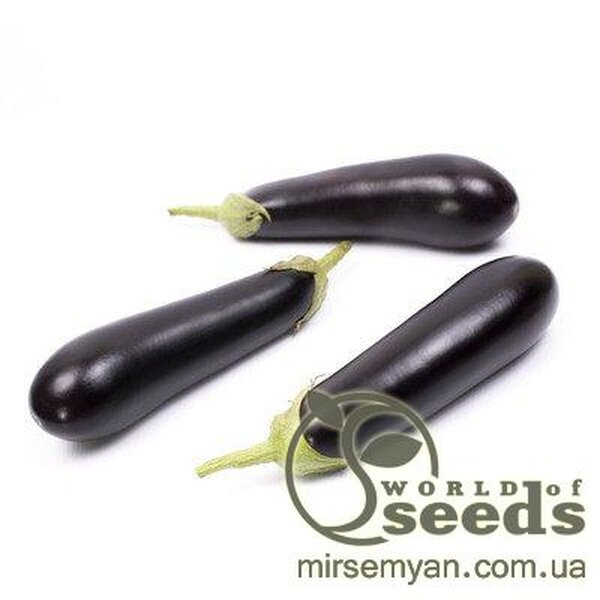 Баклажан Бріджит F1, 100 нас. (Rijk Zwaan) Баклажан Бріджит F1, 100 нас. (Rijk Zwaan)