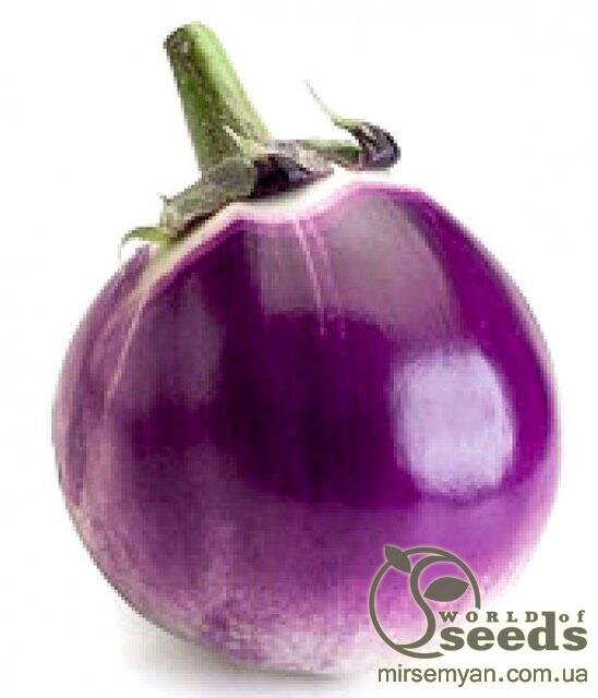 Баклажан Сабеллі F1, 100 нас. (Rijk Zwaan) Баклажан Сабеллі F1, 100 нас. (Rijk Zwaan)