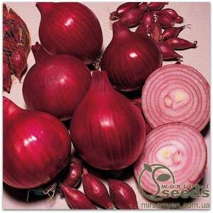 Цибуля "Ред Барон" 250 000 с. Бейо (Bejo)