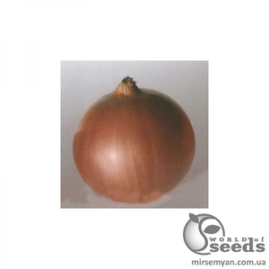 Цибуля "Утреро" F1 100 000 с. Нунемс (Nunhems)