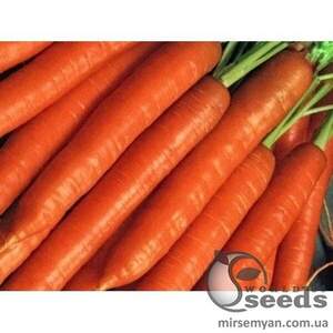 Морква "Діамант" F1(1,6-1,8) 100 000 с. Нунемс (Nunhems)