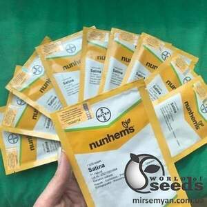 Огірок "Сатина" F1 1000 с. Нунемс (Nunhems)