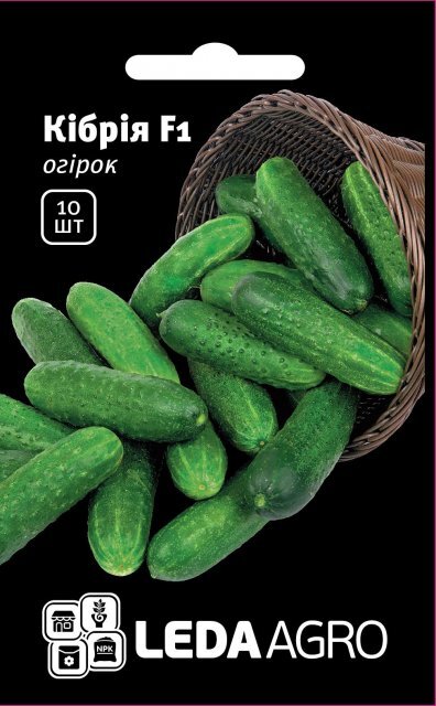 Насіння огірка  Насіння огірка