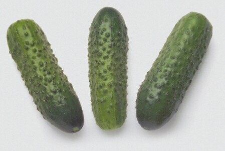 Огірок Огірок