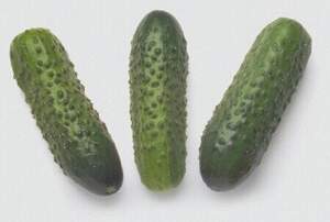 Огірок "Соната" F1 10 г Рійк Цваан, (Rijk Zwaan)