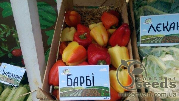 Перець Барбі F1 500 нас. (Syngenta) Перець Барбі F1 500 нас. (Syngenta)