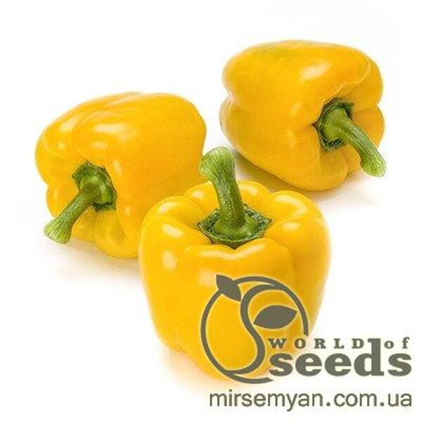 Перець Перець