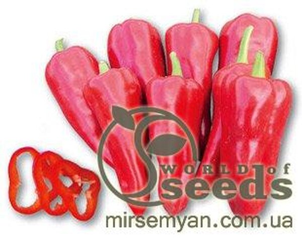 Перець Самандер (3109РР) F1 1000 нас. (Nunhems) Перець Самандер (3109РР) F1 1000 нас. (Nunhems)