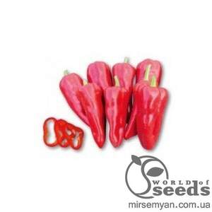 Перець Самандер (3109РР) F1 1000 нас. (Nunhems) Перець Самандер (3109РР) F1 1000 нас. (Nunhems)