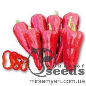 Перець Самандер (3109РР) F1 1000 нас. (Nunhems) Перець Самандер (3109РР) F1 1000 нас. (Nunhems)