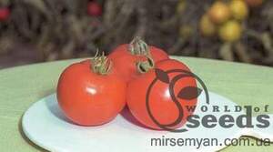 Томат "Полфаст" F1 1000 нас.  Bejo