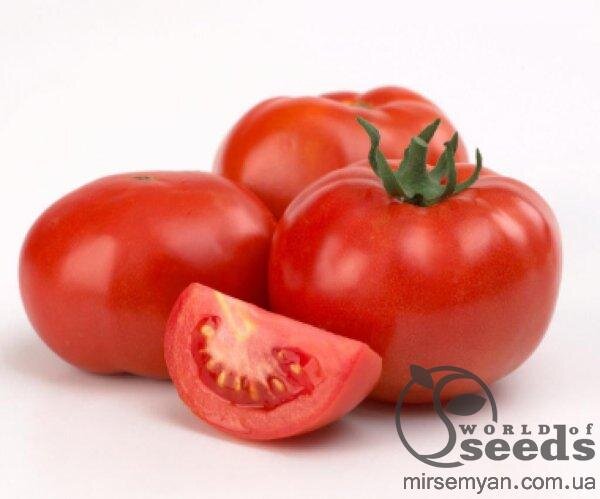 Томат "Полбіг" F1 5 г Бейо (Bejo) Томат "Полбіг" F1 5 г Бейо (Bejo)