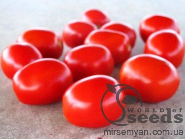 Томат «Фоккер» F1 25000 семена Нунемс (Nunhems) Томат «Фоккер» F1 25000 семена Нунемс (Nunhems)