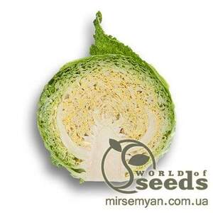 Капуста савойська Капуста савойська